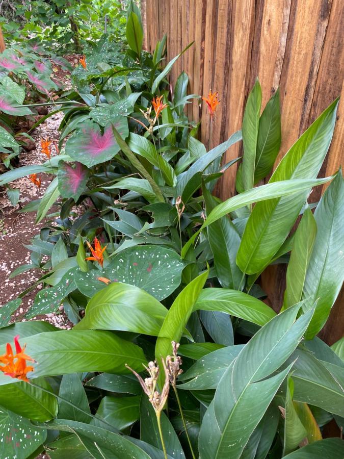 Finca Avellanas Lorena Εξωτερικό φωτογραφία