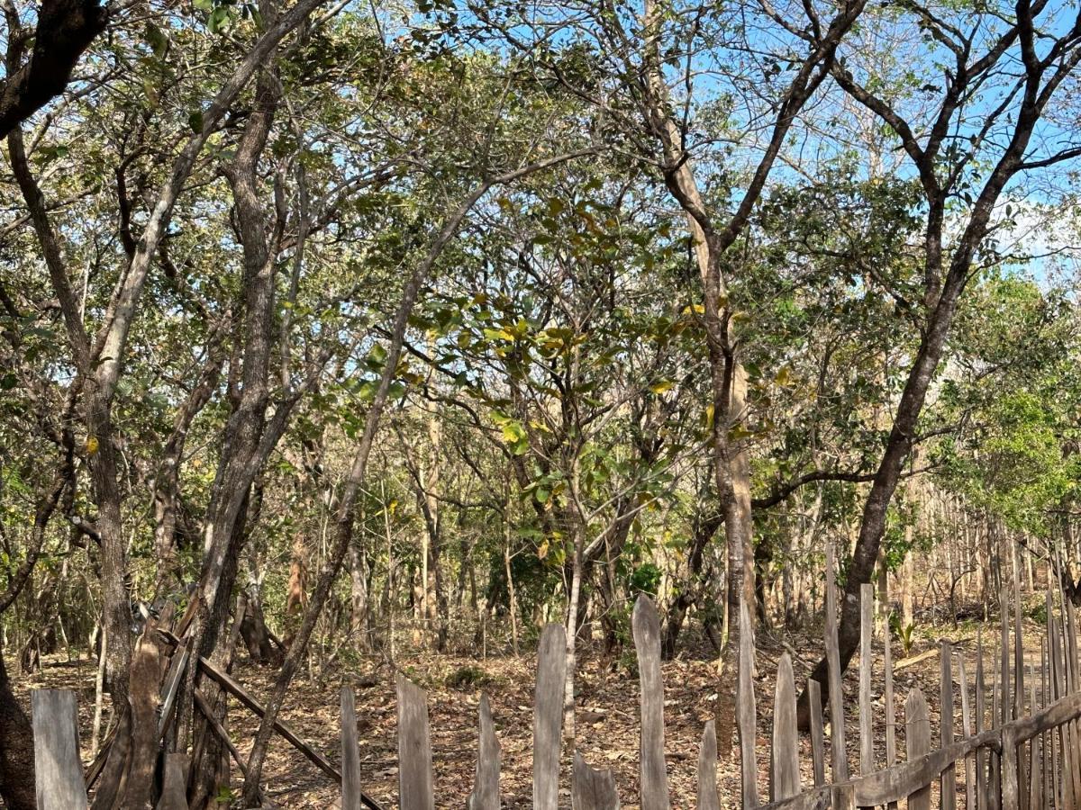 Finca Avellanas Lorena Εξωτερικό φωτογραφία