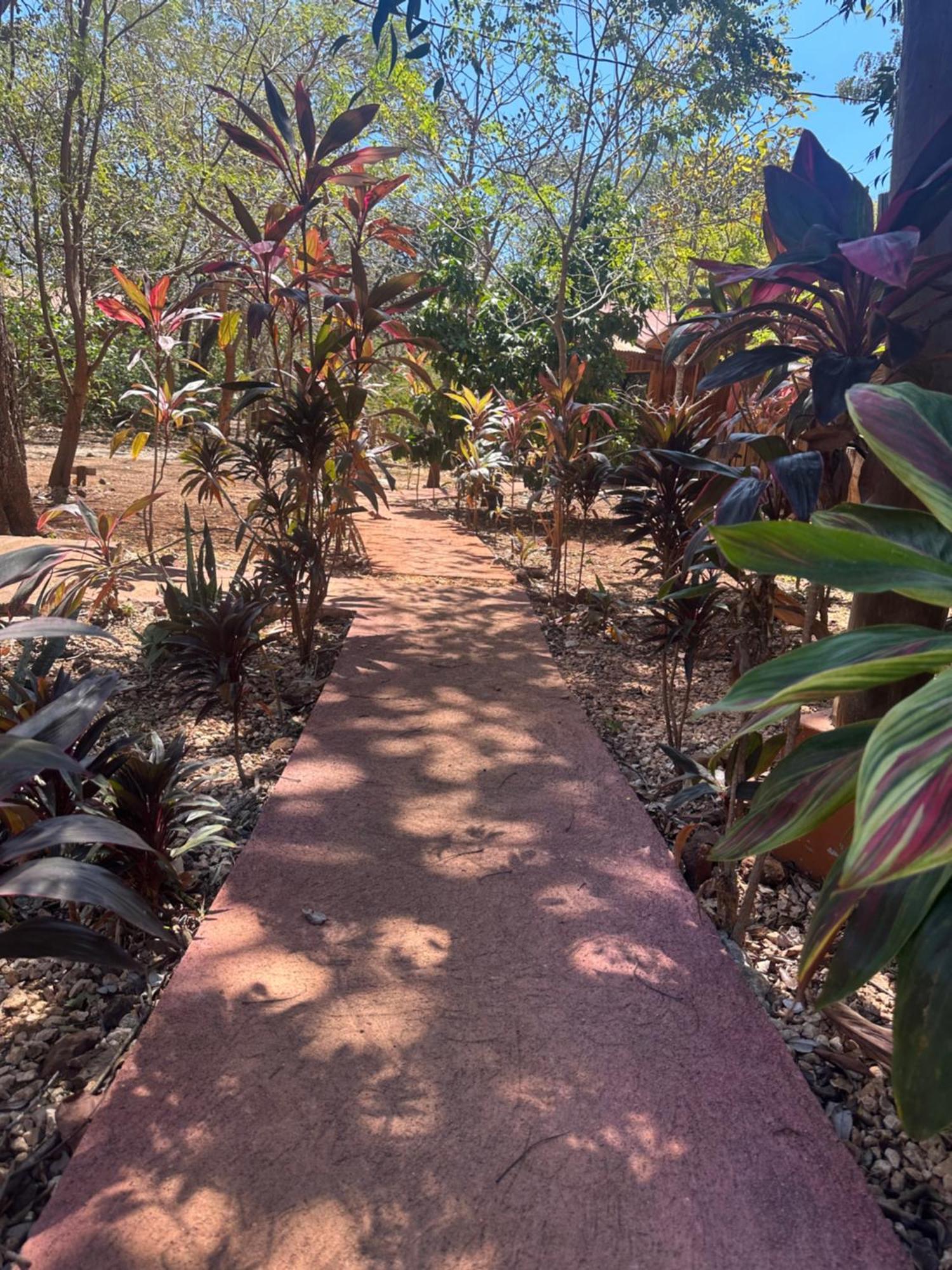 Finca Avellanas Lorena Εξωτερικό φωτογραφία