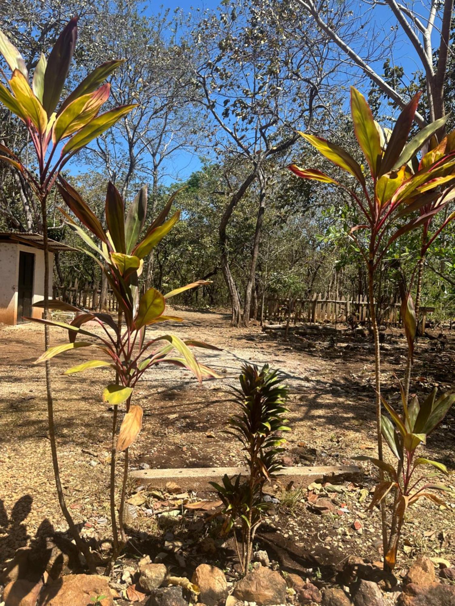 Finca Avellanas Lorena Εξωτερικό φωτογραφία
