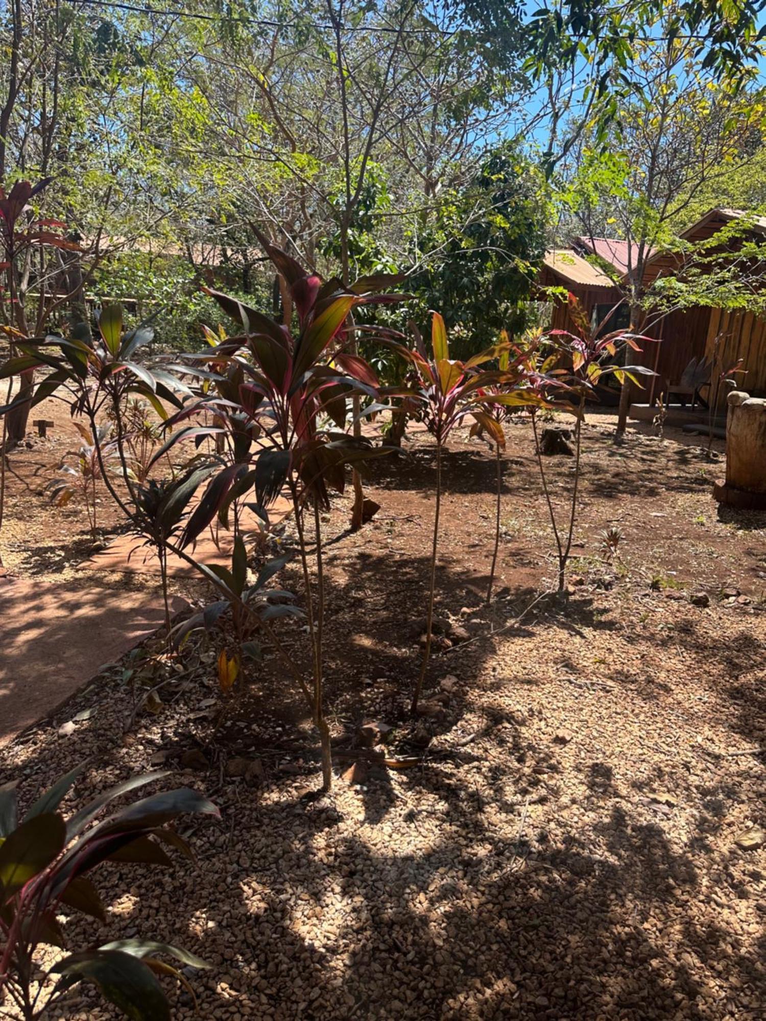 Finca Avellanas Lorena Εξωτερικό φωτογραφία