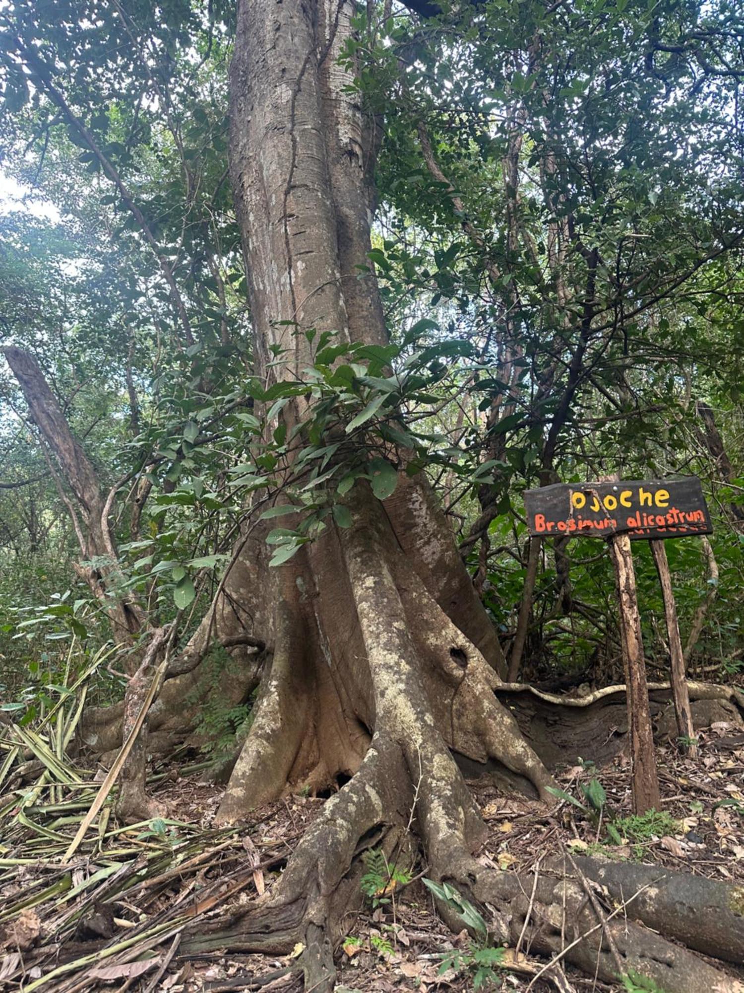 Finca Avellanas Lorena Εξωτερικό φωτογραφία