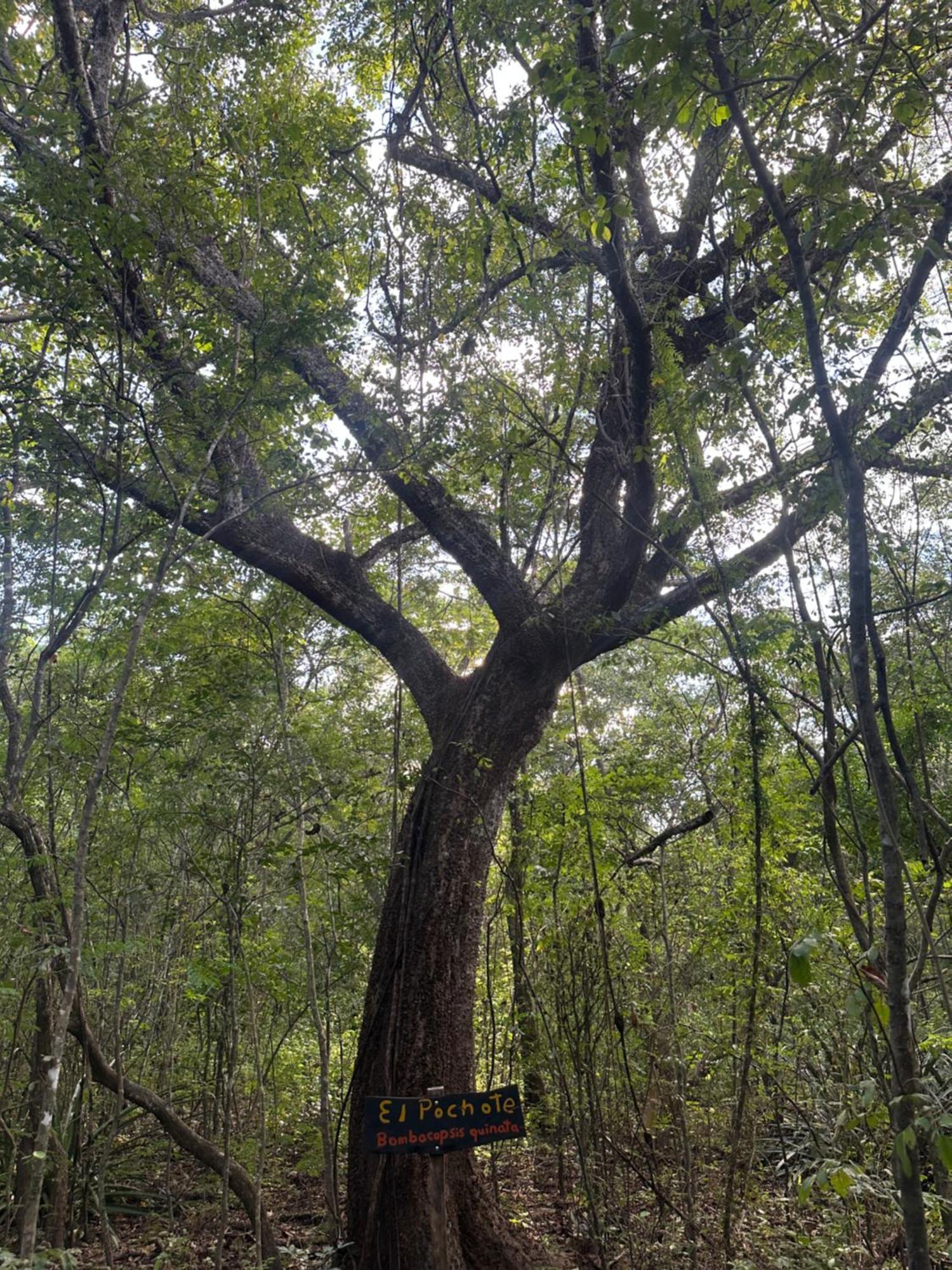 Finca Avellanas Lorena Εξωτερικό φωτογραφία