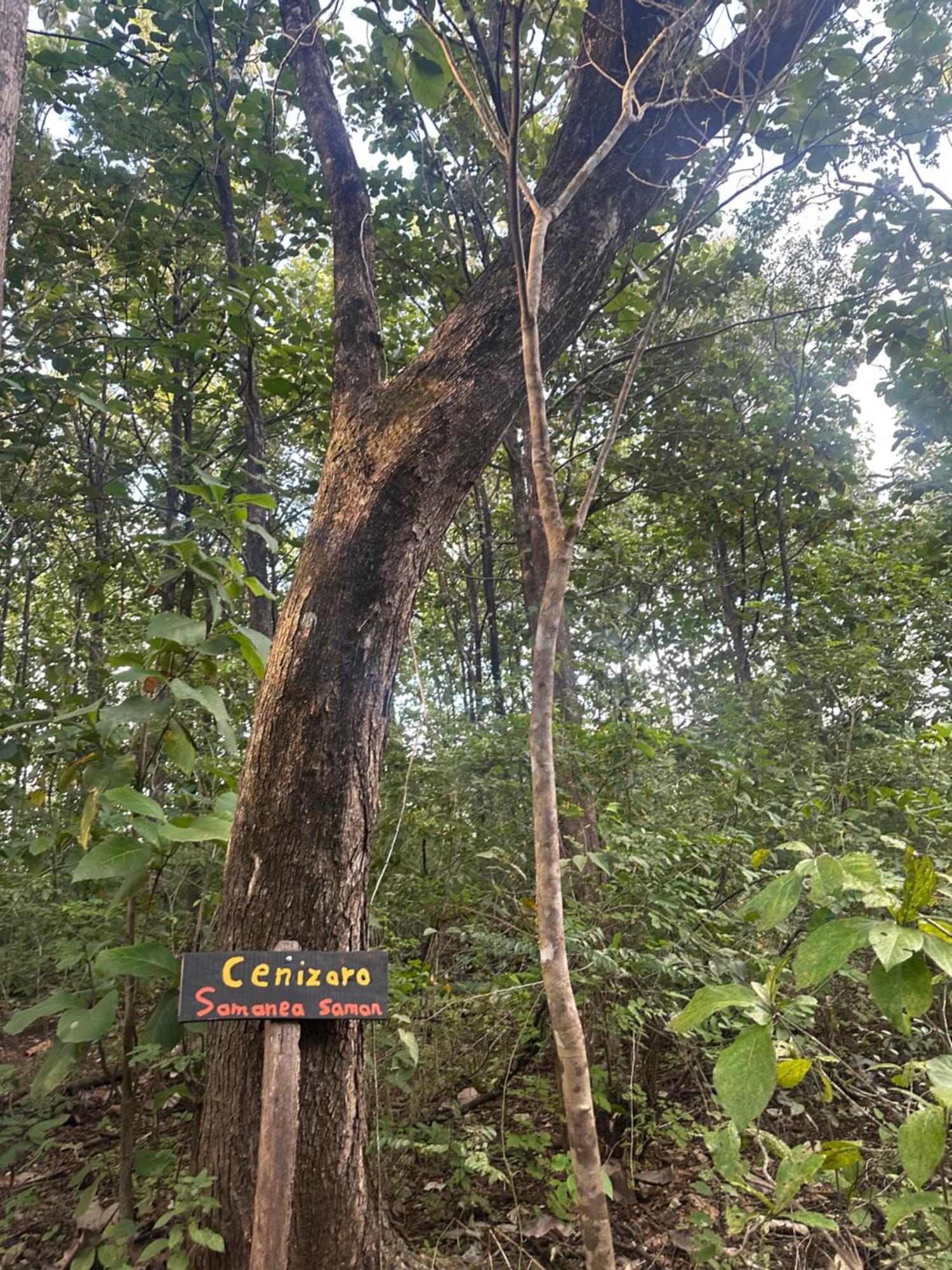 Finca Avellanas Lorena Εξωτερικό φωτογραφία