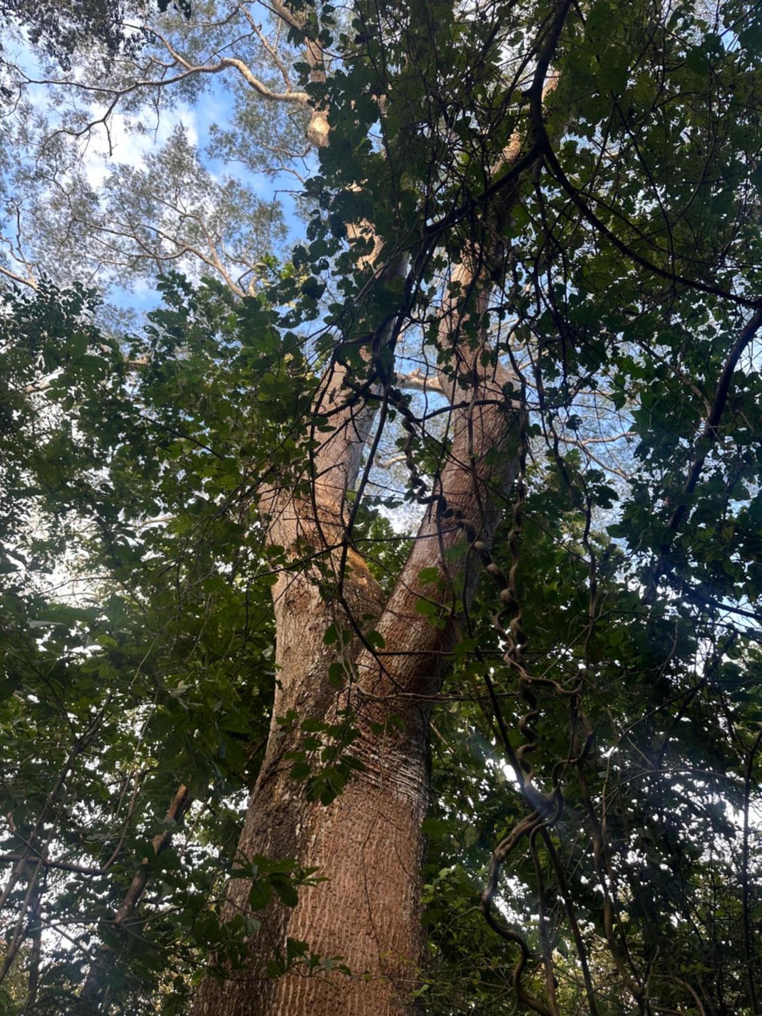 Finca Avellanas Lorena Εξωτερικό φωτογραφία