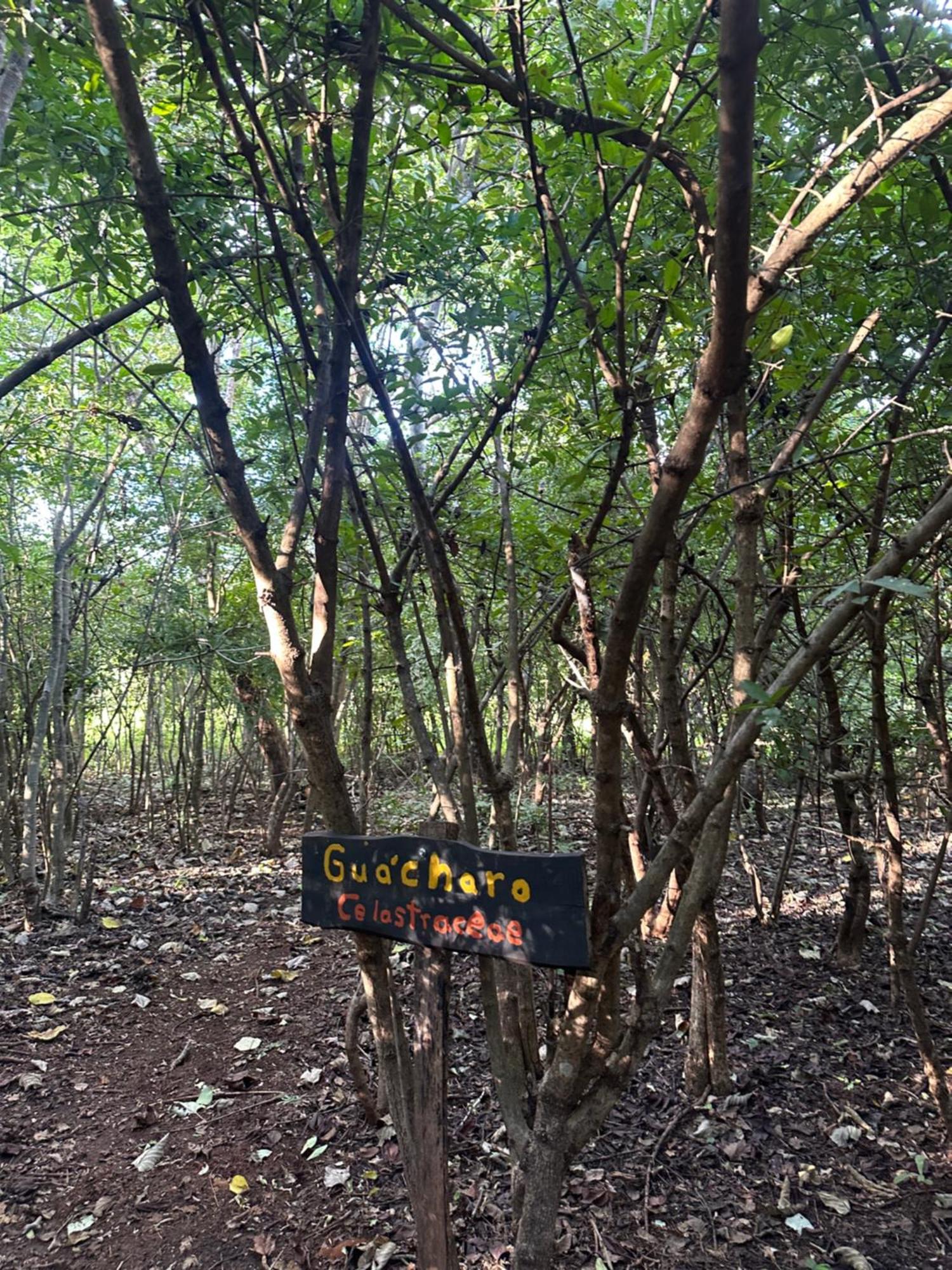 Finca Avellanas Lorena Εξωτερικό φωτογραφία